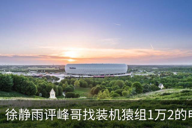 徐静雨评峰哥找装机猿组1万2的电脑：打游戏不够用！